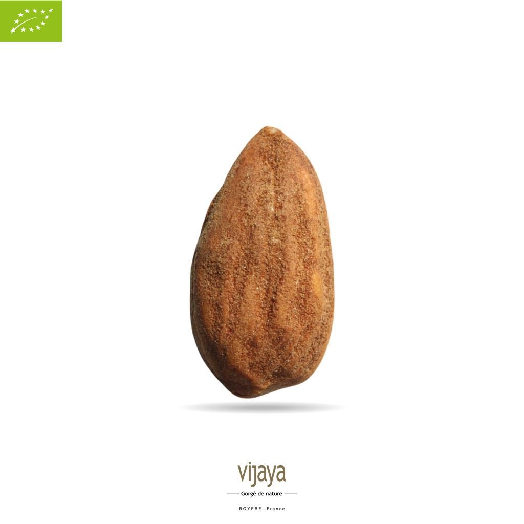 Vijaya